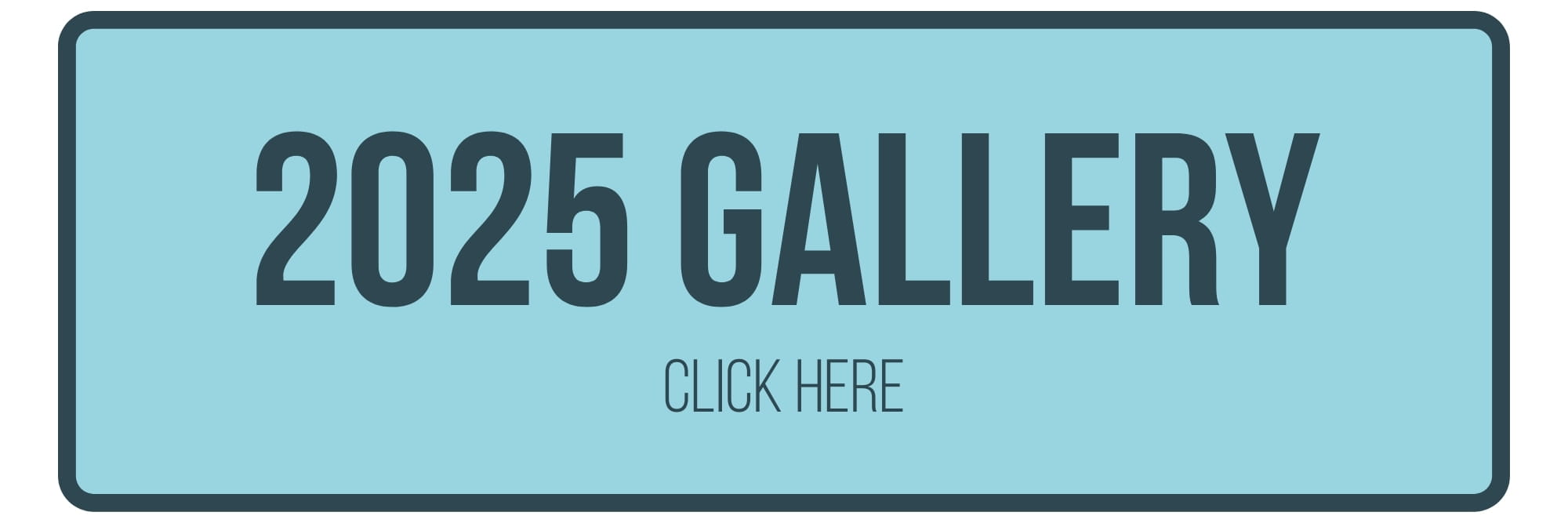 Heaton Park Food and Drink Festival 2025 Highlights